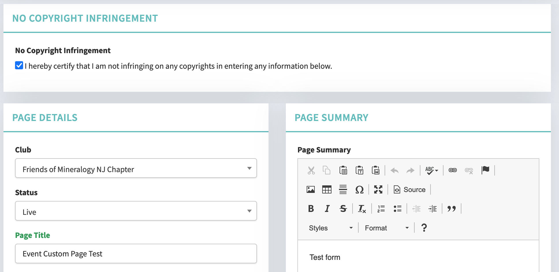 Custom Page settings including copyright checkbox, club, status, and title