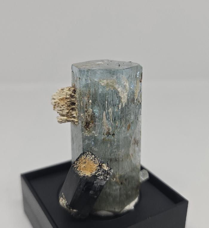 Any/All Specimens