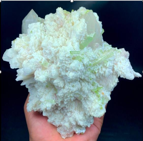 Any/All Specimens