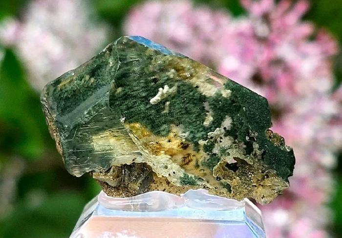 Any/All Specimens