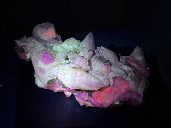 Any/All Specimens