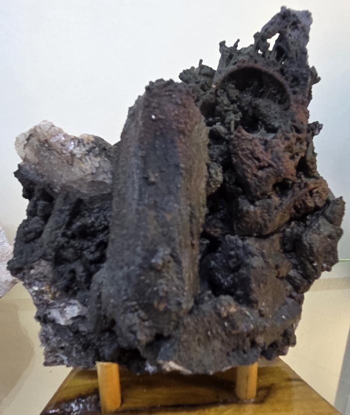Any/All Specimens