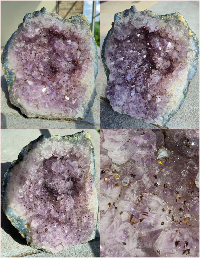 Any/All Specimens