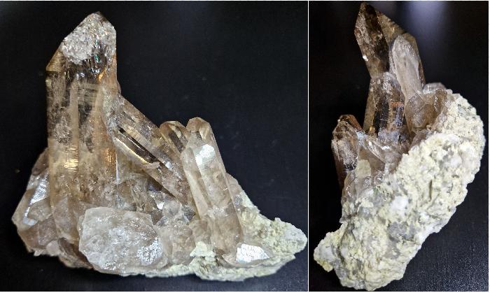 Any/All Specimens