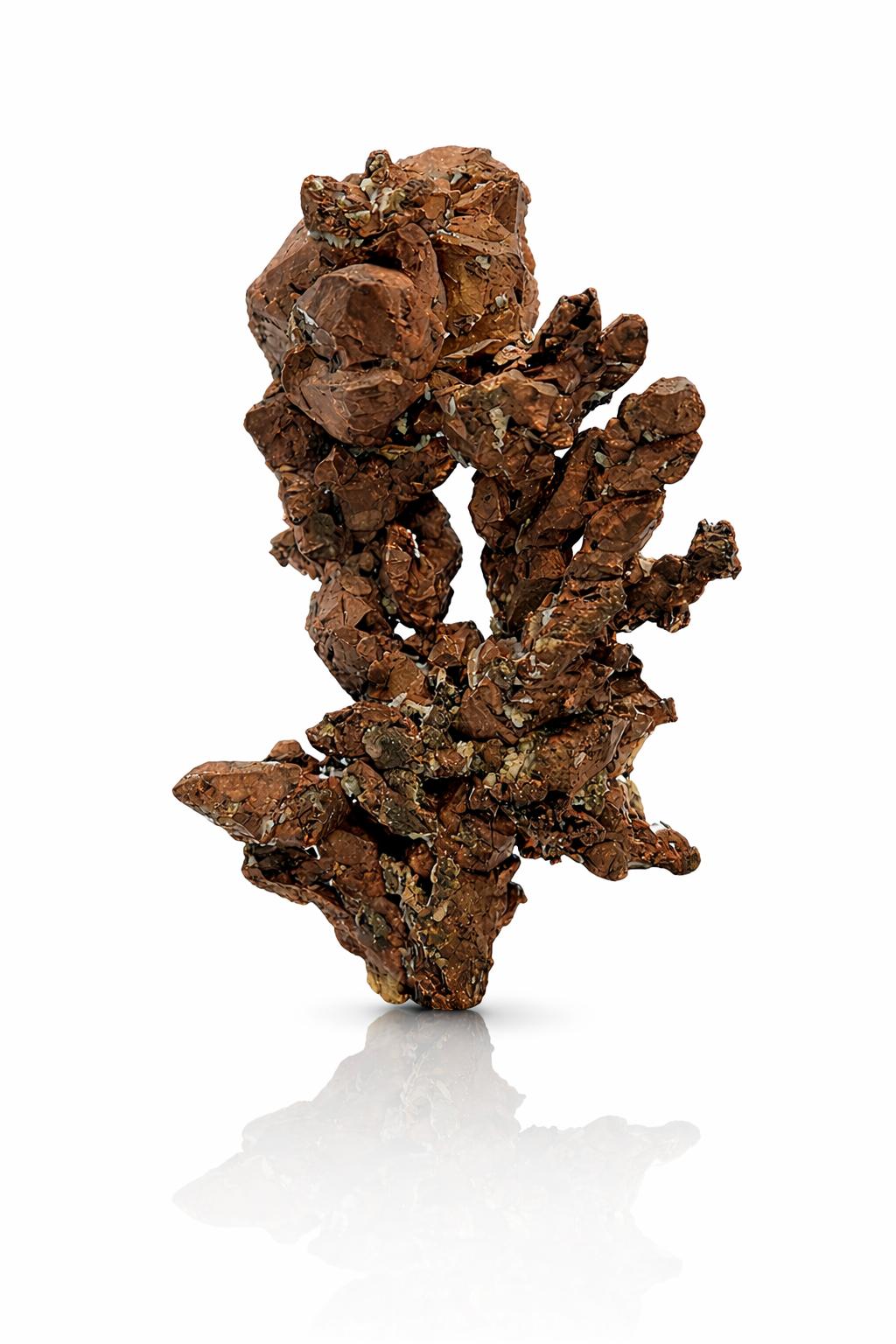 Any/All Specimens