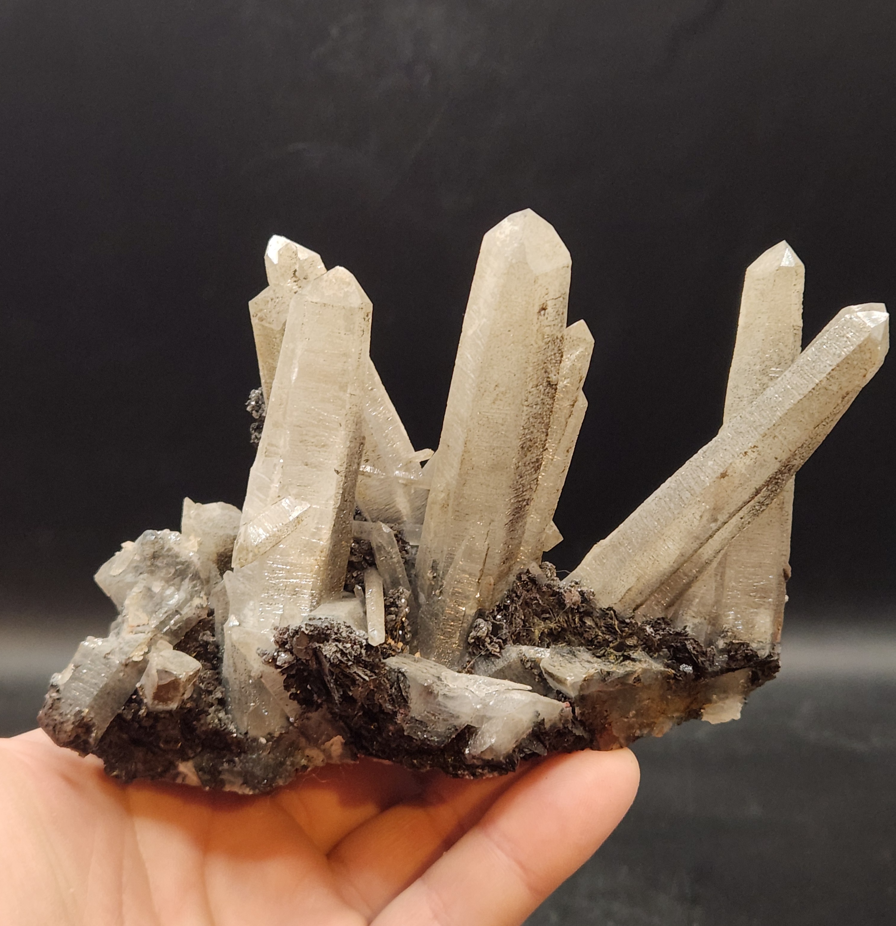Prize specimen for winning this Rock Battle